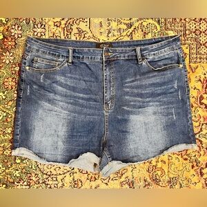 FINAL PRICE Judy Blue Medium Wash Shorts